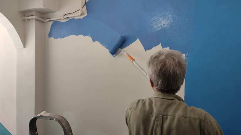 Best Touch-Up Painting  in Rochester, WI